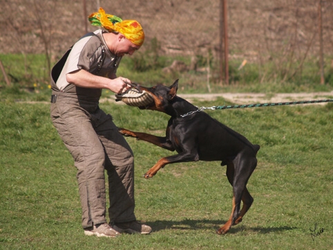 Santa Julf Efrat - training 4. 4. 2007